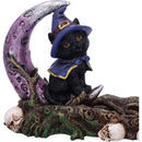Grimalkin Witches Familiar Black Cat and Crescent Moon Incense Burner 29cm 6