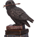Bronze Spellcraft Witches Familiar Owl on Book Figurine 14cm 6