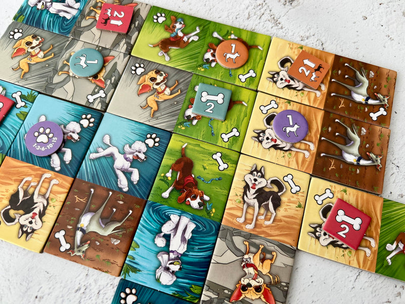 Fireside Games Zoomies – Fast-Paced Dog Walking Family Card Board Game Fun for All Ages Quick Play 2 to 4 Players Ages 10+