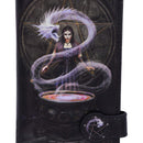 Anne Stokes The Summoning Witch and Dragon Embossed Purse 18.5cm 7