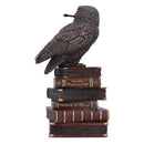 Bronze Spellcraft Witches Familiar Owl on Book Figurine 14cm 3