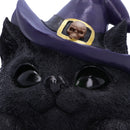Familiar Grin Black Cat Head With Light Up Eyes 13.8cm 6