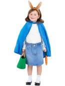 Rabbit Kit Child with Hooded Cape Headband Fabric Bucket and Carrot 2