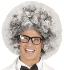Old Man / Mad Scientist Wig In Polybag