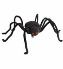 Spider Hairclips