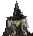 Witch Hats With Tulle, Feathers &Spider