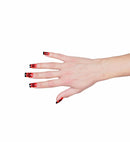 Set Of 10 Ladybug Nails