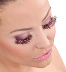 Eyelashes With Tinsel  4 Colors Assorted - In Box With Glass Bottleglue