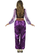 Arabian Princess Jasmine Costume Adult Purple Trousers Top Veil 3