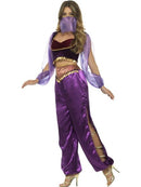 Arabian Princess Jasmine Costume Adult Purple Trousers Top Veil 4