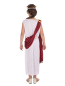 Athena Goddess Girls Costume White Toga 4