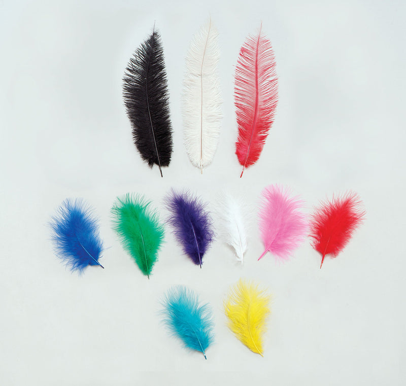 Womens Marabou White Feathers 12 Pkt Female Packet Halloween Costume_1 BF006