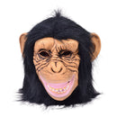 Chimp Mask Rubber Masks Male_1 BM515