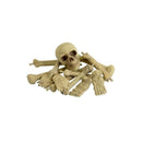 Bag Of Bones and Skull Adult Natural 2