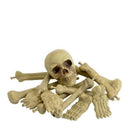 Bag Of Bones and Skull Adult Natural 1