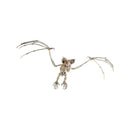 Bat Skeleton Prop Adult Natural 2