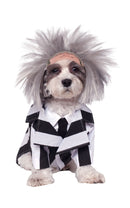 Beetlejuice Pet Costume White 1