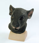 Black Rat Mask Rubber Adult Overhead 1