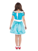 Alice in Wonderland Blue Dress Childrens Costume 3