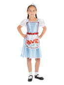 Kids Dorothy Girl Fancy Dress Costume