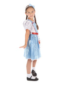Fairy Tale Girl Costume