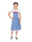 Kansas Girl Wizard of Oz Dorothy Costume 1