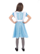 Traditional Alice in Wonderland Dress for Girlsl 2