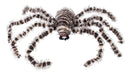 Creepy Crawler Striped Spider Body 1