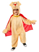 DC League of Super Pets Krypto Costume Toddler_1