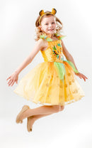 Disney Simba Tutu Childs Lion King Dress 4