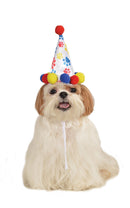 Dogs Paw Print Bday Hat for Pets 1