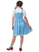 Dorothy Wizard of Oz Kansas Child Costume 3