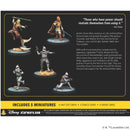 Requesting Your Surrender Star Wars Shatterpoint Miniature Game by Atomic Mass 2