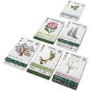 Reforest Old Growth Board Game by Firestarter 2