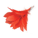 Feather Hair Clip Red Costume Accessory 1