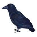 Feather Raven Black Pirate Costume Accessory 1