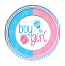 Gender Reveal Large Plate 1