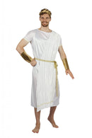 Greek God Toga Pleated Material Costume 1