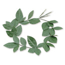 Green Laurel Leaf Headband Roman Costume Accessory 1
