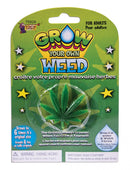 Grow Own Weed 1