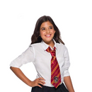 Gryffindor Adult Harry Potter Neck Tie 3