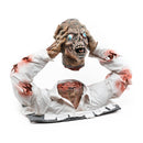 Cut Off Zombie Head Display Halloween Fancy Dress Unisex_1 HI138