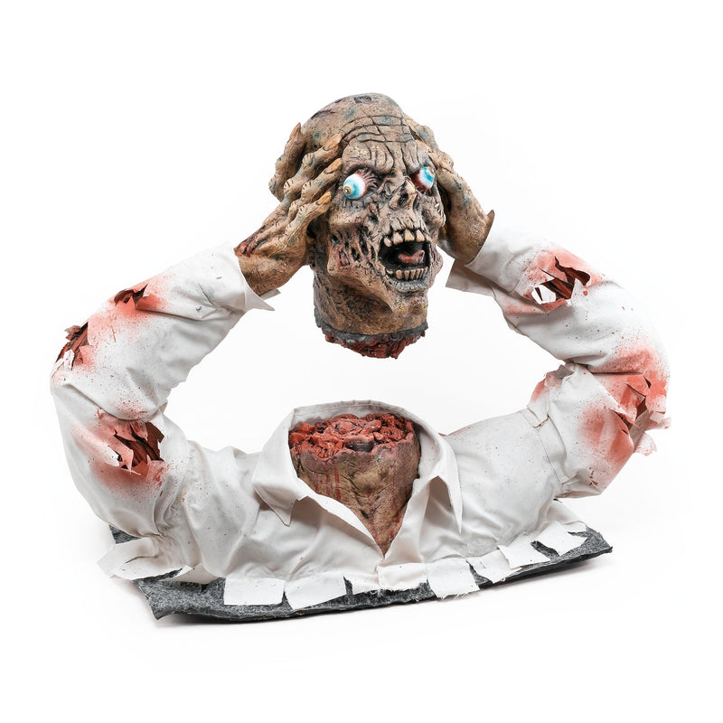 Cut Off Zombie Head Display Halloween Fancy Dress Unisex_1 HI138