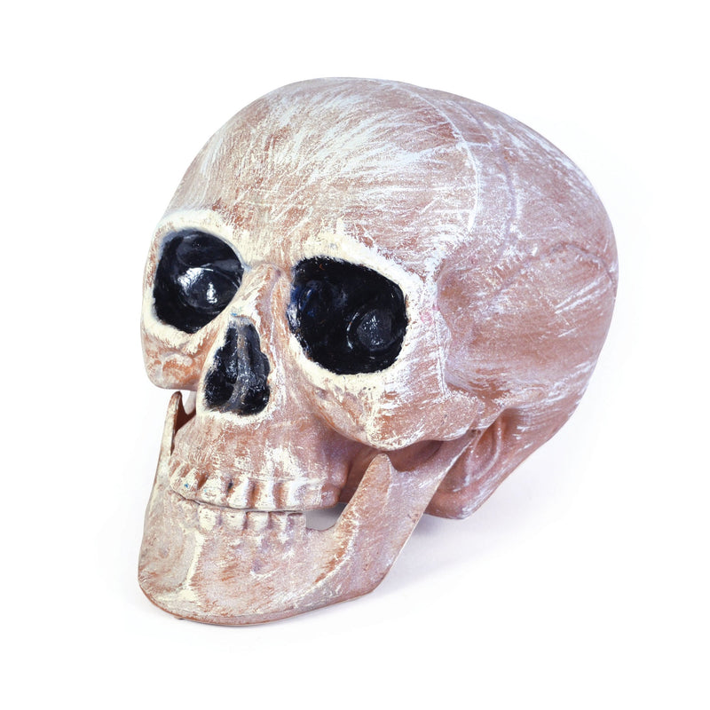 Skull Head Realistic Halloween Items Unisex_1 HI266
