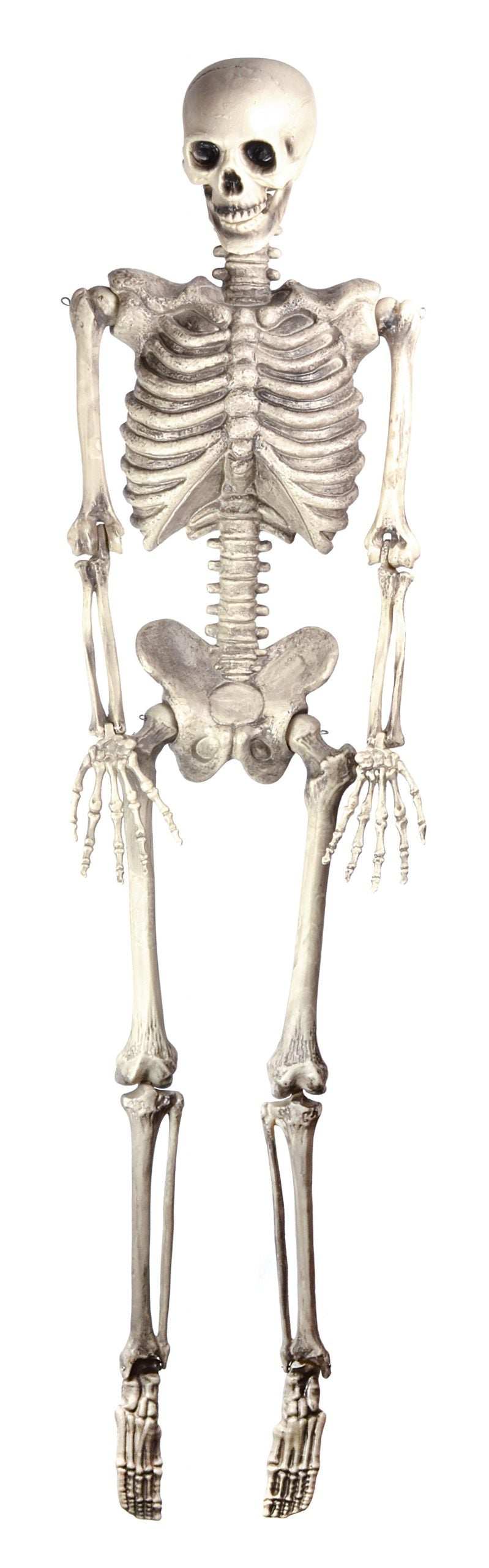 Skeleton 60" Hanging Halloween Items Unisex_1 HI301
