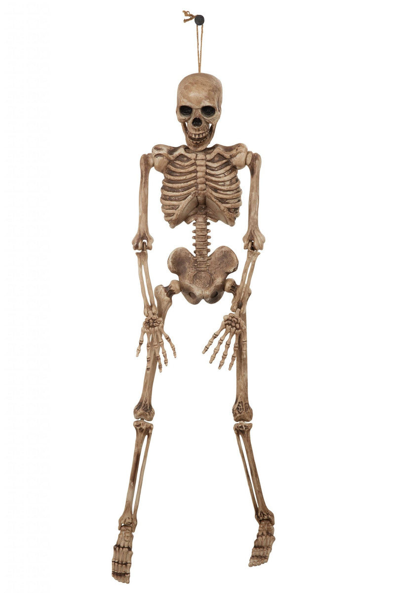 Skeleton 42" Halloween Items Unisex_1 HI334