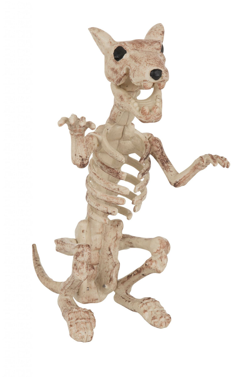 Skeleton Rat Halloween Items Unisex_1 HI336