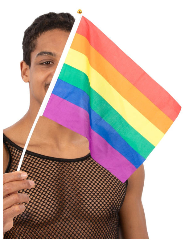 Hand Held Rainbow Flags 45x30cm 12Pk_1