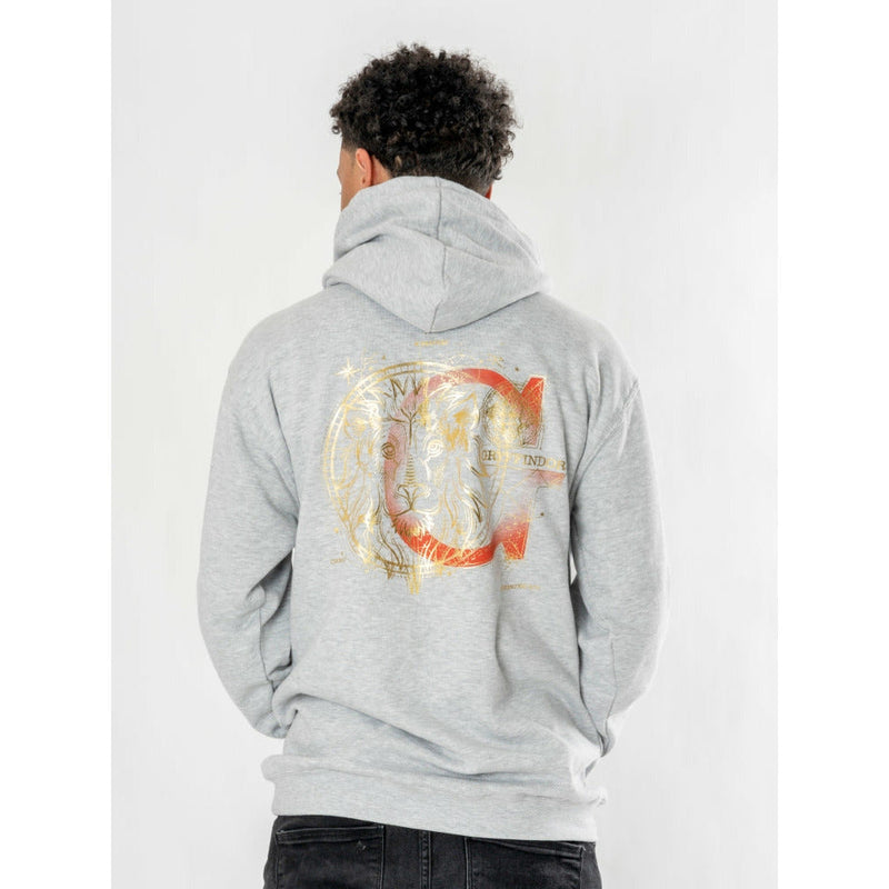 Harry Potter Unisex Grey Marl Gryffindor Zodiac Hoodie Adult_1