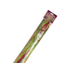 Hawaiian Hula Skirt Multicolour 56cm 2